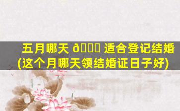 五月哪天 🐅 适合登记结婚(这个月哪天领结婚证日子好)